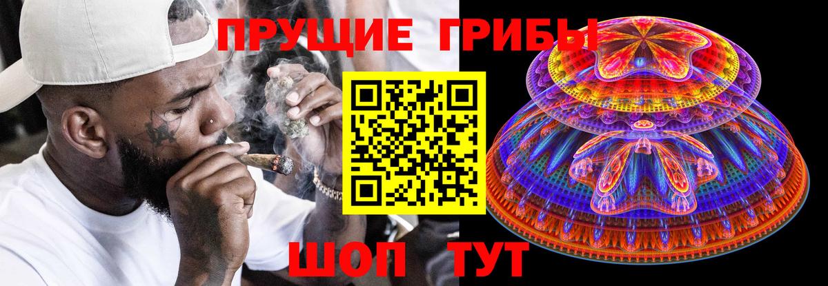Псилоцибиновые грибы Psilocybine cubensis Городец